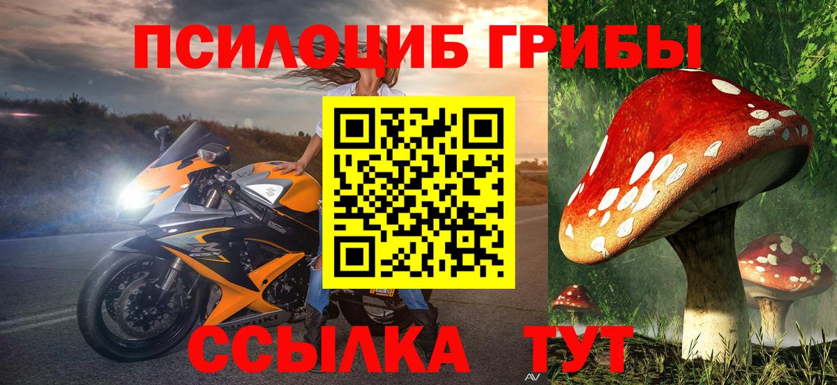 Армавир  Галлюциногенные грибы мухоморы  Галлюциногенные грибы Cubensis  Вход с VPN 