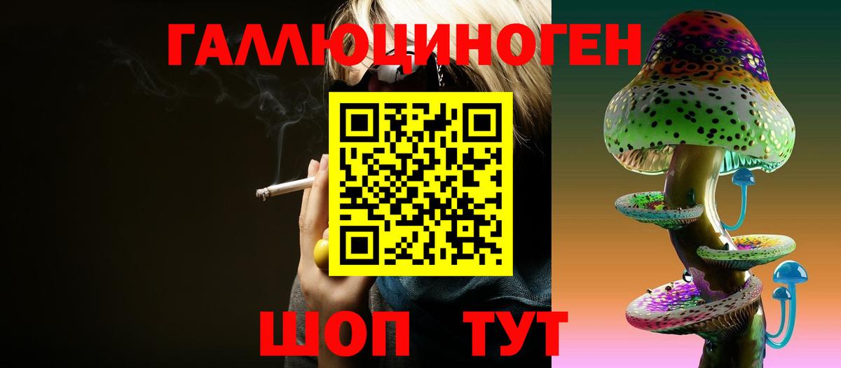 Галлюциногенные грибы Psilocybine cubensis Армавир